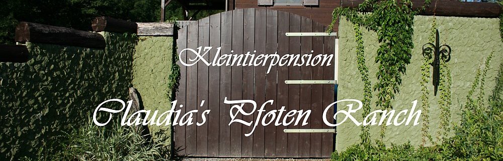 Sommer5