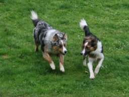 Aron_und_Cindy