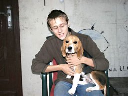 beagle