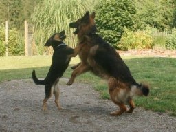 Energiegeladenes_Duo