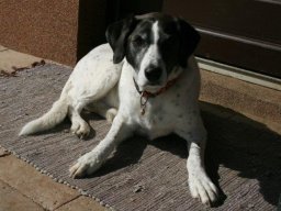freundliche_Seniordame_Moya