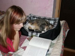 Gastkatze_Data