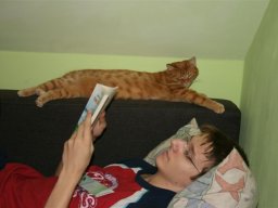 Kater_Maxi_und_David