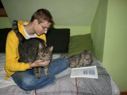 Katzenduo_Kater_BeiJing_und_Katze_Kitty