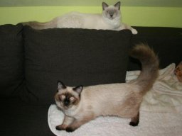 Leon_und_Ludwig