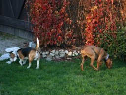 Max_und_Rudi