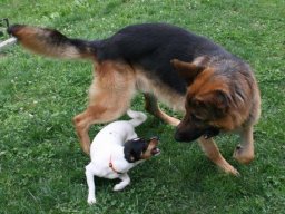 Natan_und_Mia