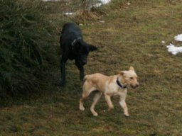 Ralph_und_Samy