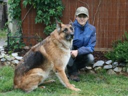 schaeferhuendin_lucy