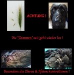 Grannenzeit