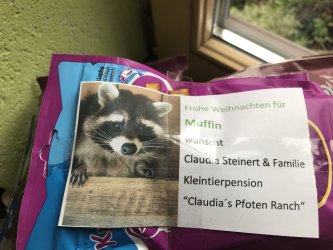 Futter für Waschbär Muffin