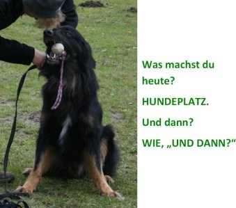 Benito vom Schirninghof