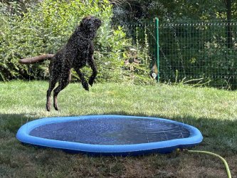 Plantschen 1