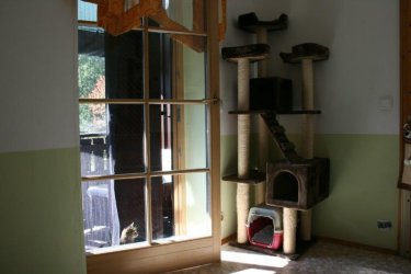 Katzensuite - Westseite