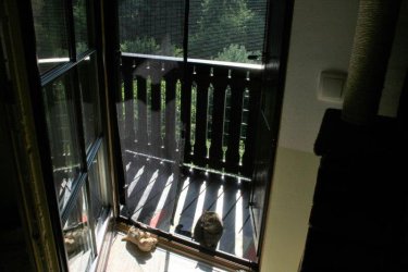 Katzensuite - Westseite