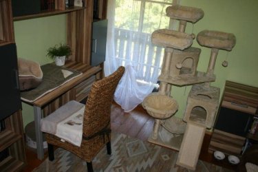 Outdoor Katzen - Balkon ostseitig 1