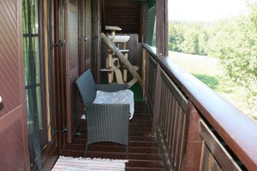 Outdoor Katzen - Balkon ostseitig 2