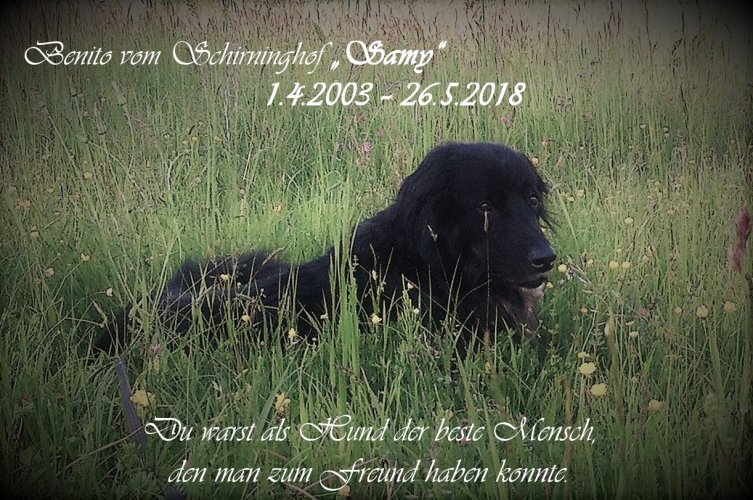 Benito vom Schirninghof