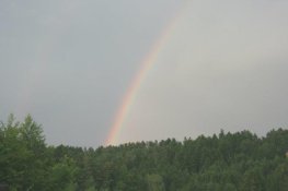 Regenbogen