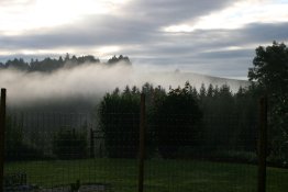 mystisch nach dem Regen