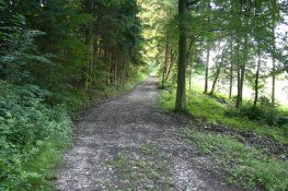 herrliche Spazierwege